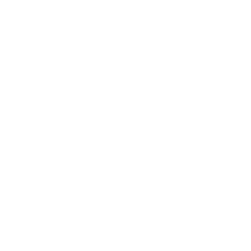 Etui na iPhone 15 Pro muaythai