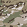Multicam